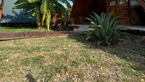 A building with a sloped roof, a large banana tree, and a small plant in the foreground. - Hotel Luna Azul Tatacoa  (Villavieja)