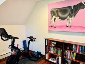 Fitness facility - Hudson Valley Heaven - Serene Catskills Farmhouse (East Durham)