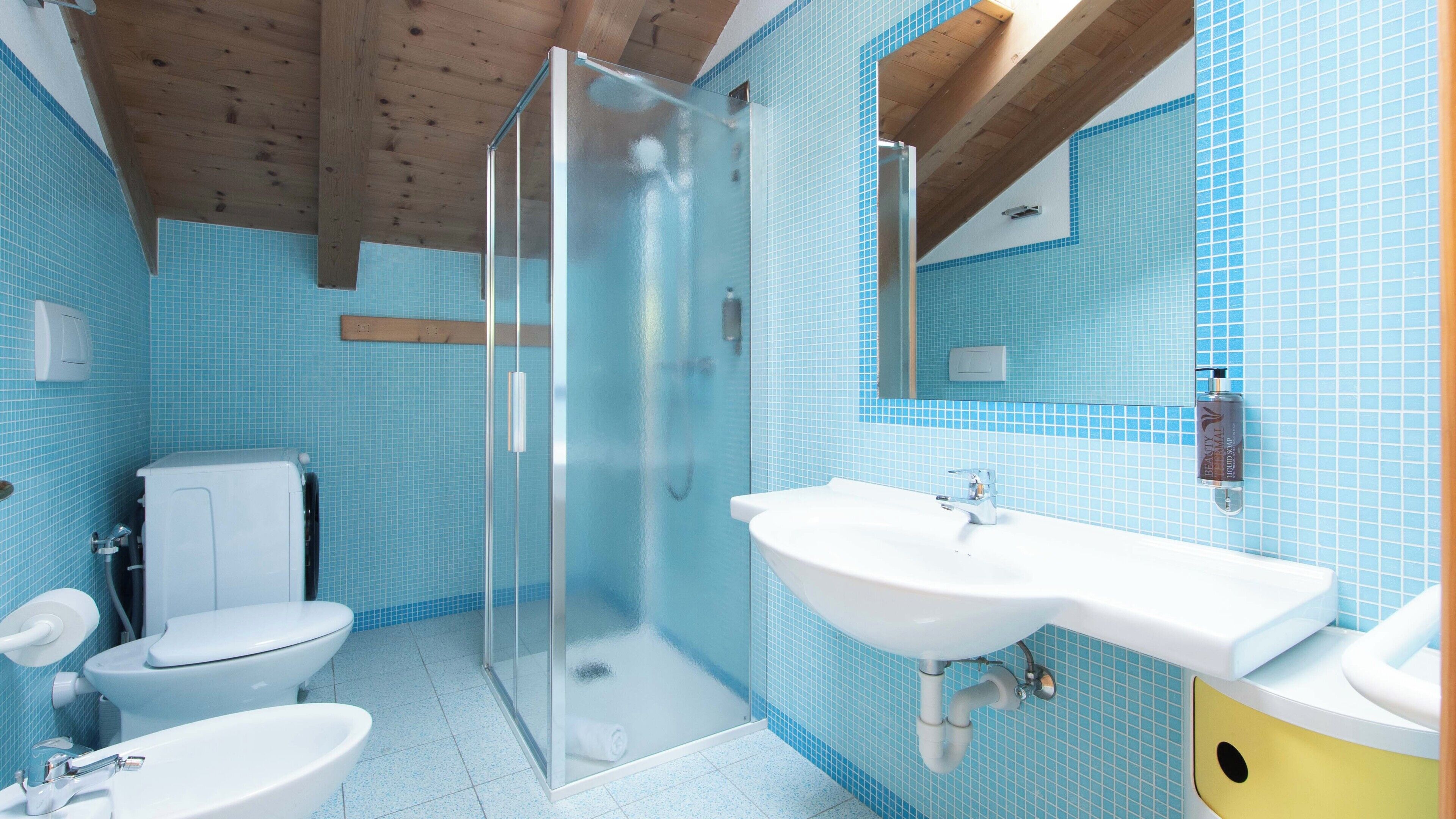 Apartamento (1 Bedroom) | Baño | Ducha y bidé