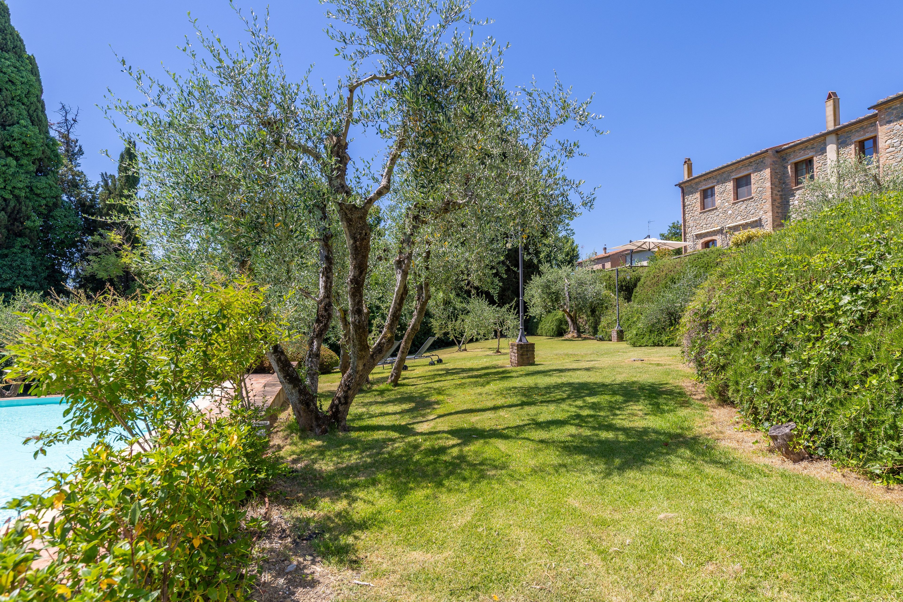 A garden with a pool, stone building, and olive trees.