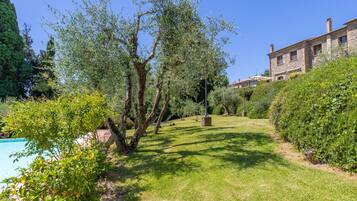 A garden with a pool, stone building, and olive trees.