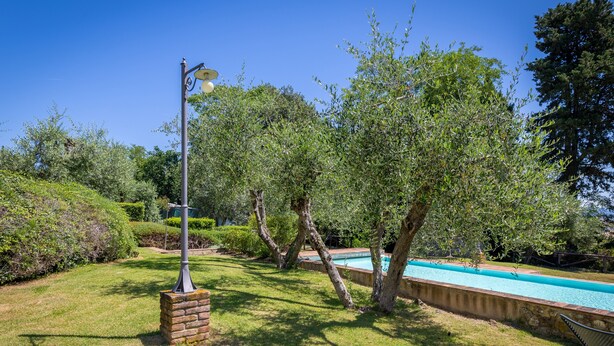 A swimming pool surrounded by a well-maintained lawn and trees.