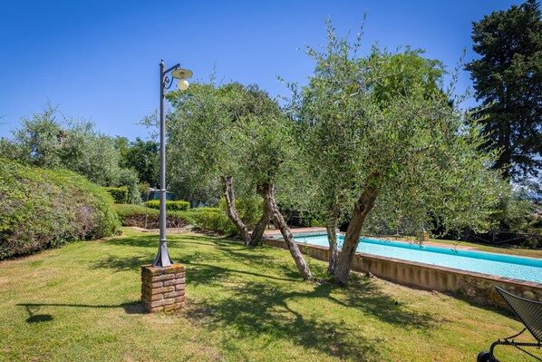 A swimming pool surrounded by a well-maintained lawn and trees.