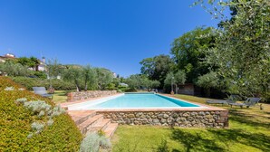 A rectangular swimming pool with a stone border, surrounded by well-maintained grass and various shrubs.