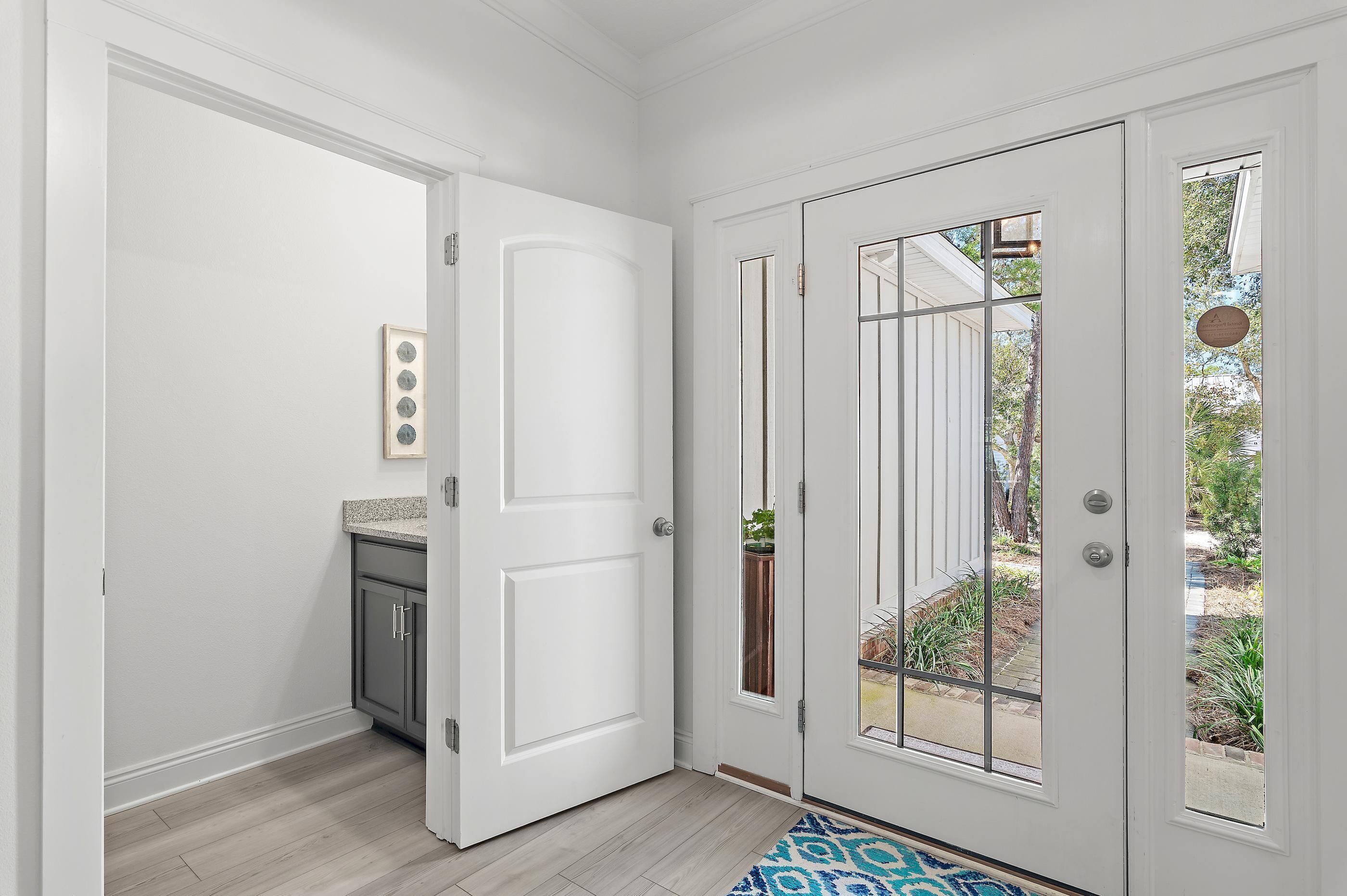 A hallway with white doors, a wooden floor, and a small plant on the wall.