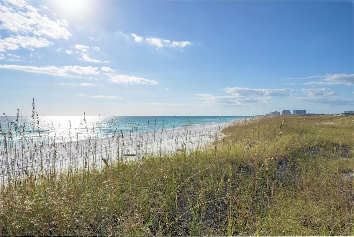 A coastal landscape with a beach, grassy dunes, and a clear sky.