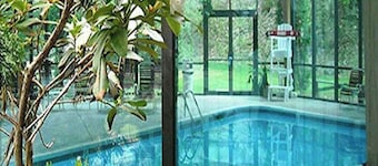 Dog-Friendly Gem with Pool, Hot Tub, Sauna & Deck