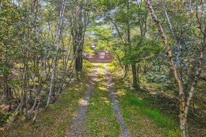 A pathway leading to a house surrounded by trees. - Dog-Friendly Home with Hot Tub, Decks & Pool Table (Albrightsville)