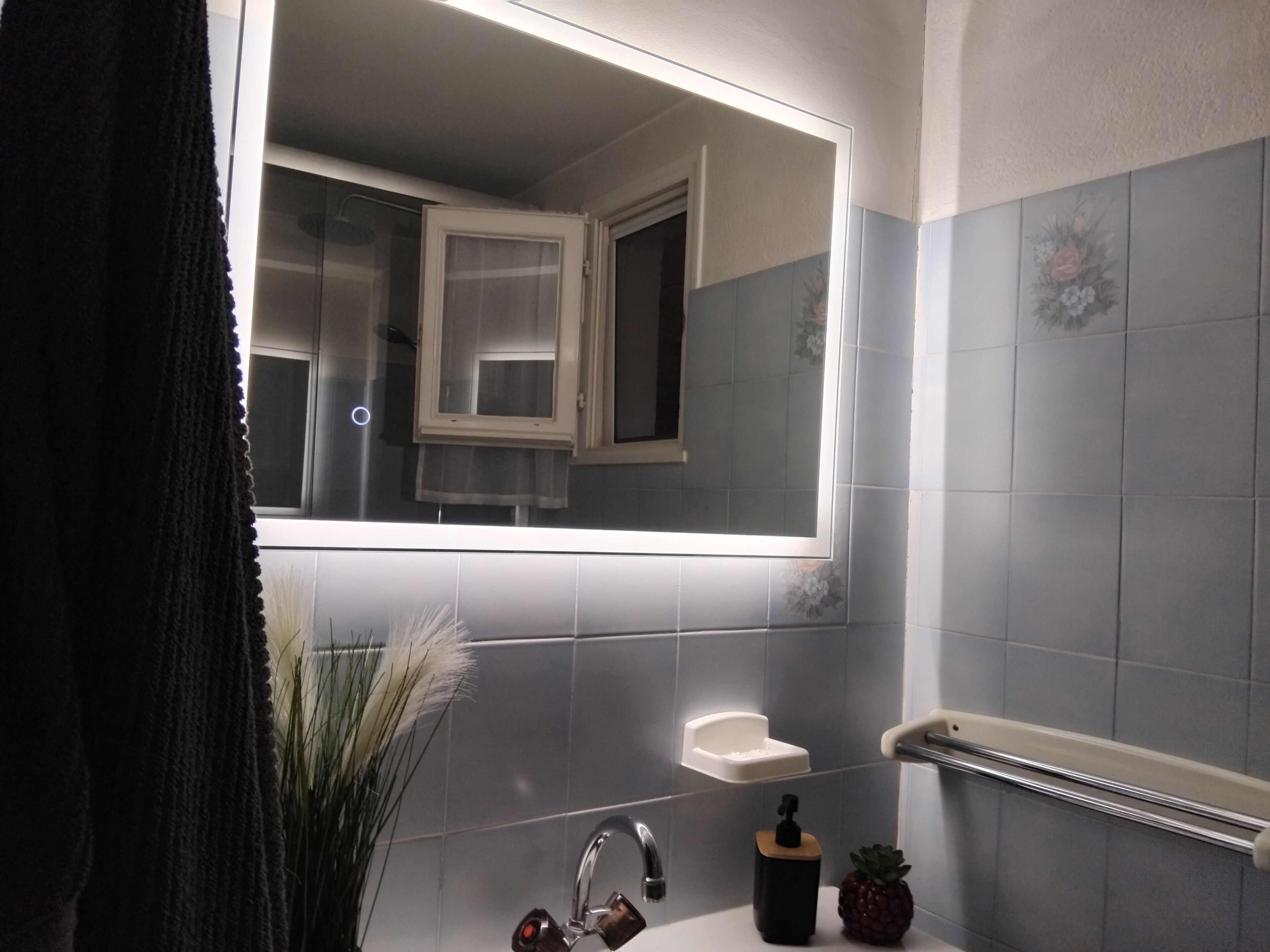 A bathroom with a mirror, a sink, a towel rack, and a small plant.