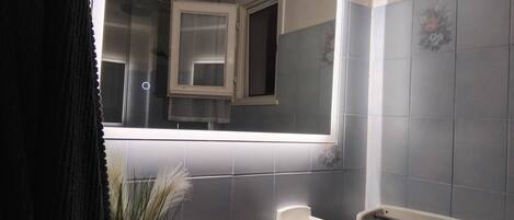 A bathroom with a mirror, a sink, a towel rack, and a small plant.