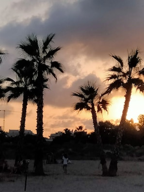 Ein Sonnenuntergang mit Palmen und einer Person im Vordergrund.