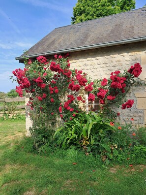 Un bâtiment en pierre doté d’un toit en pente, entouré d’une végétation luxuriante et de plantes en fleurs.
