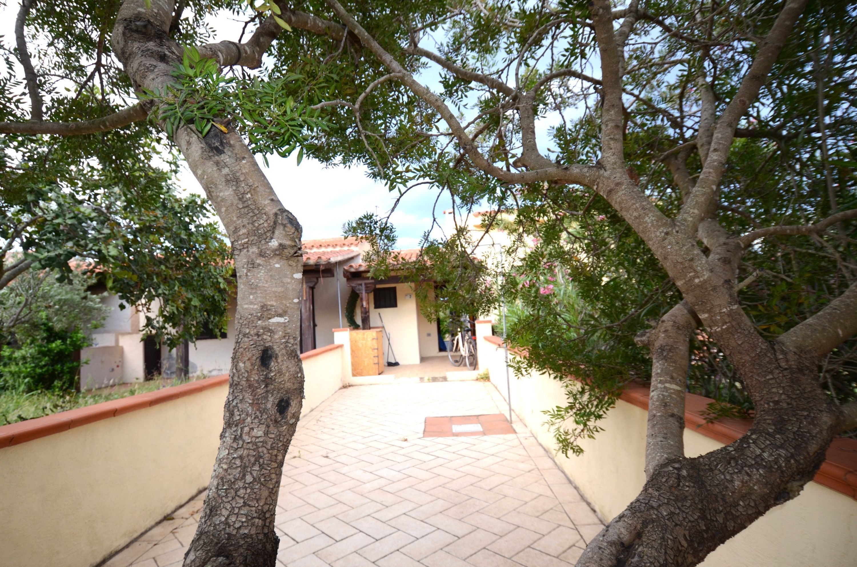 A paved pathway leading to a building with a tiled roof, surrounded by trees and a low wall.
