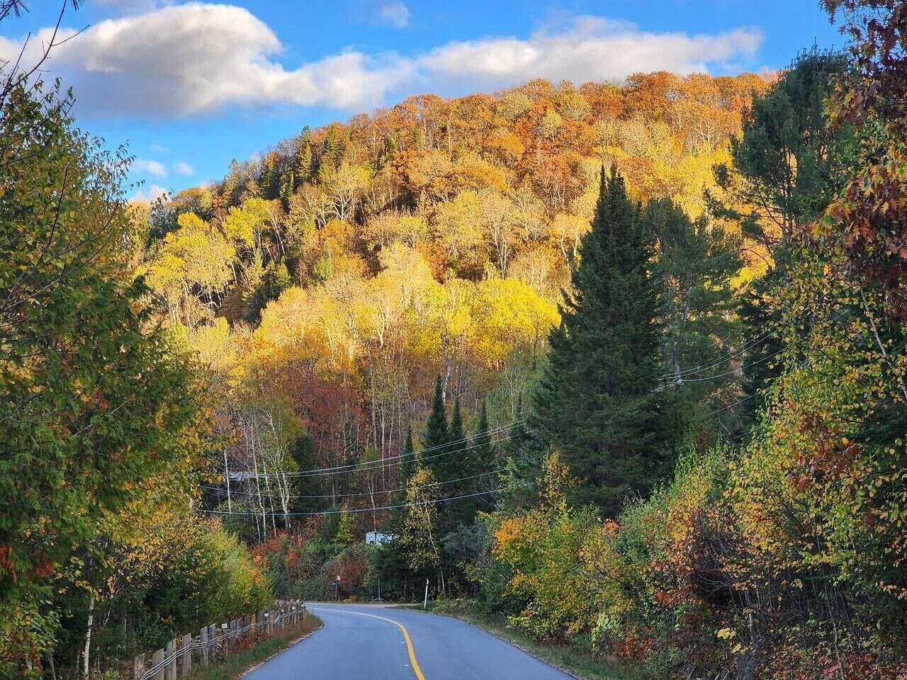 Una carretera serpentea por un área boscosa con follaje otoñal.