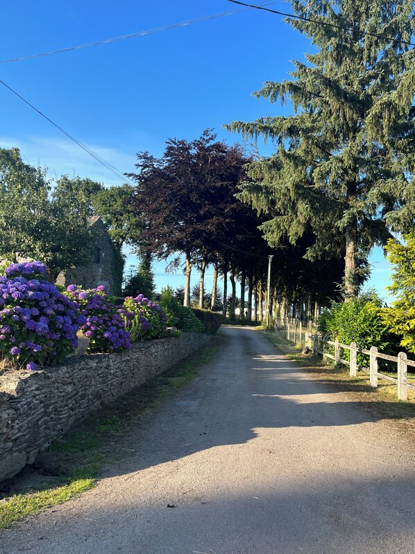 A rural road lined with trees and purple flowers, leading to a stone building. - Farm cottage (Le Haut-Corlay)