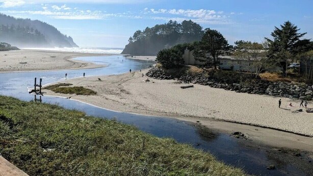 Ein Strand mit Fluss, Felsen und Bäumen.