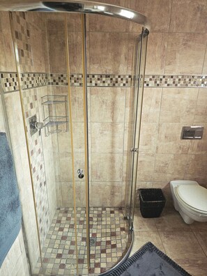 Ducha con puerta de vidrio, suelo de baldosas y un inodoro en un baño.