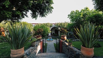 Property grounds