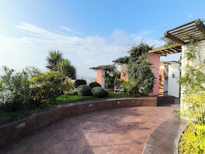Un patio ajardinado con un sendero curvo, plantas en macetas y una estructura de pérgola.
