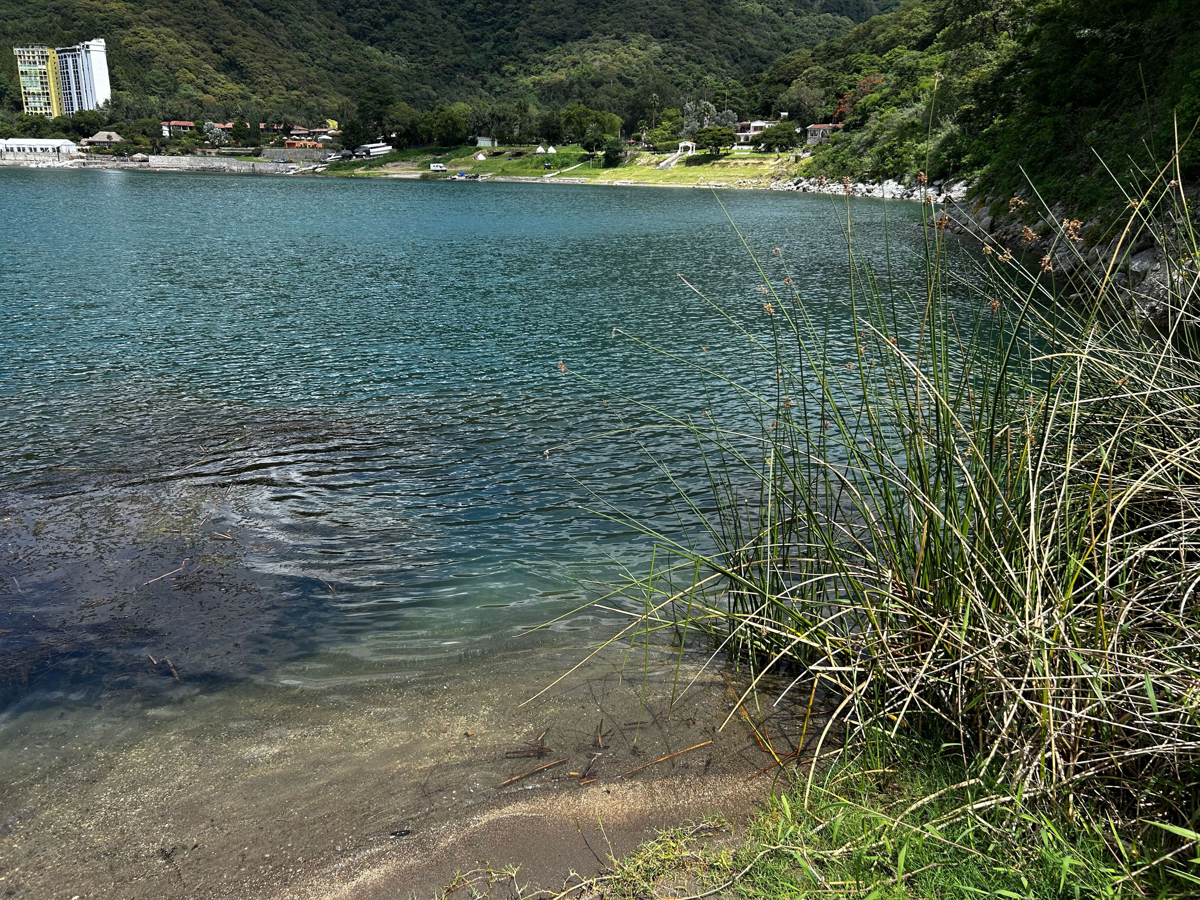 Un lago con agua cristalina, rodeado de vegetación y edificios al fondo.