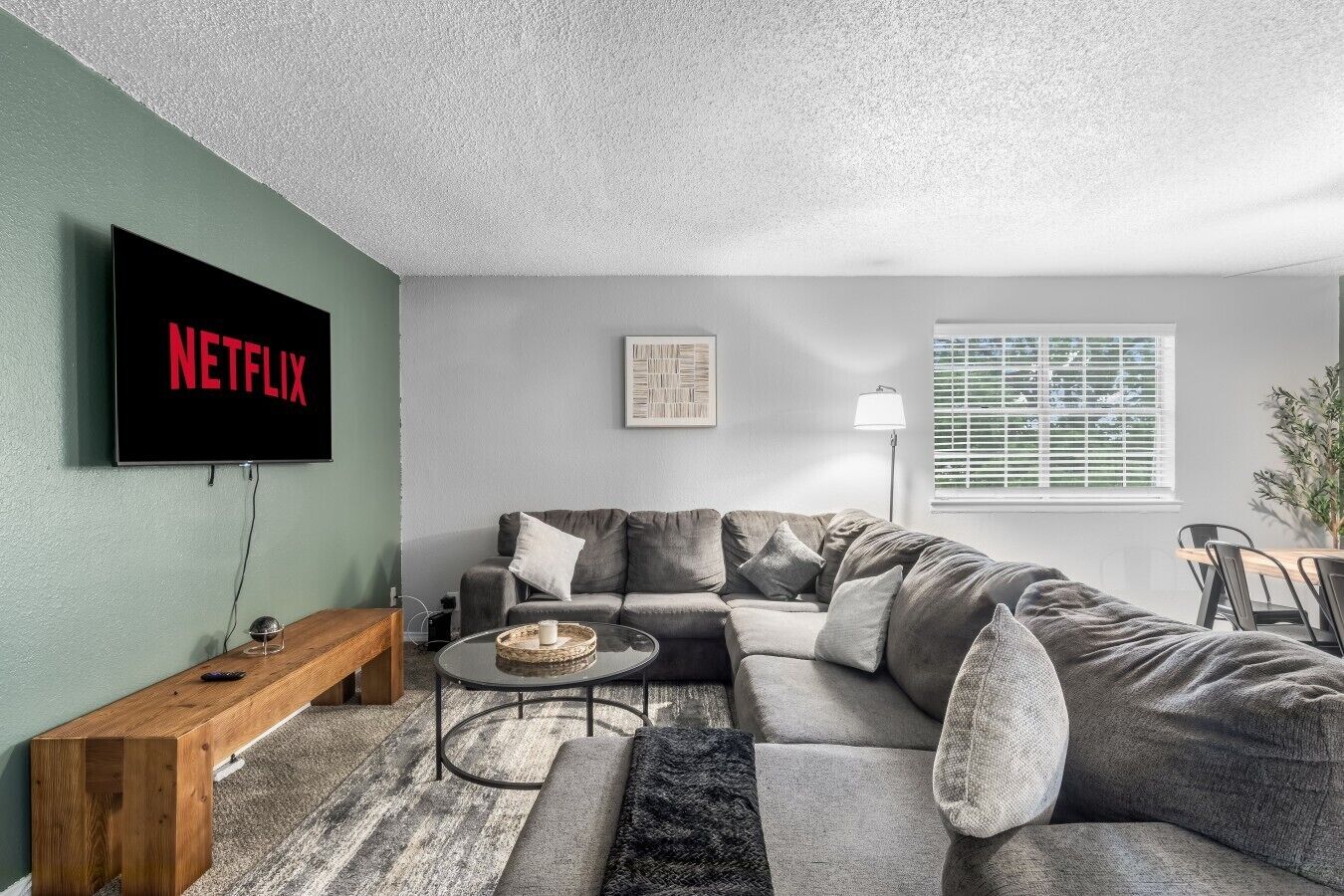 TV