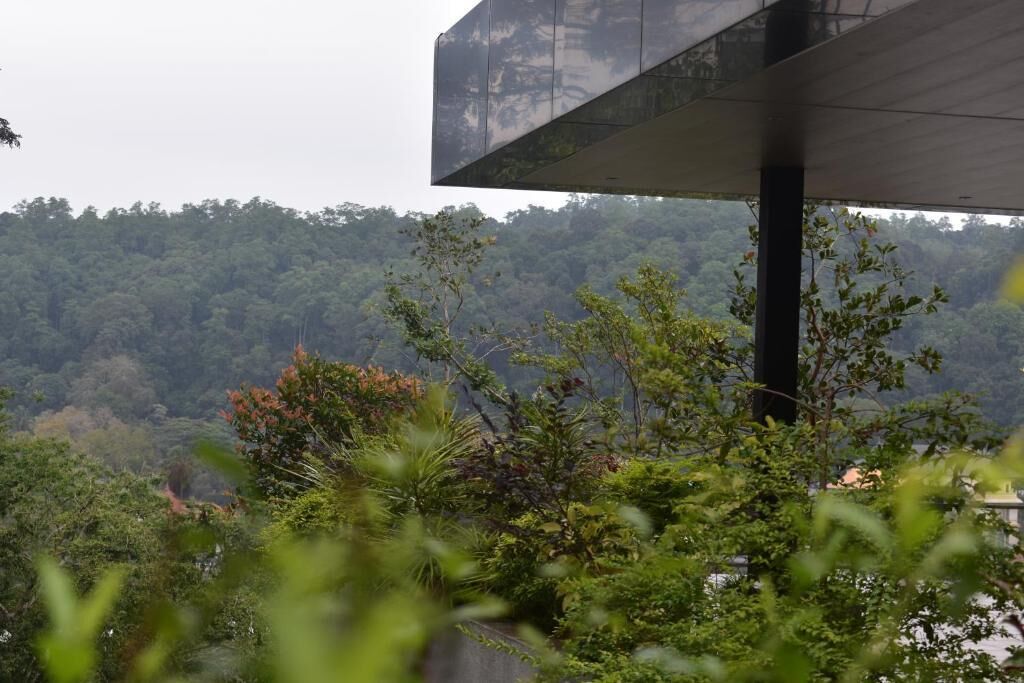 A modern building with a large glass facade, surrounded by lush greenery and a forested hillside.