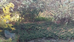 A stone retaining wall with vegetation, a small water feature, and a stone bench. - Romantic couples bed & breakfast in secluded Strykersville NY (STRYKERSVILLE)