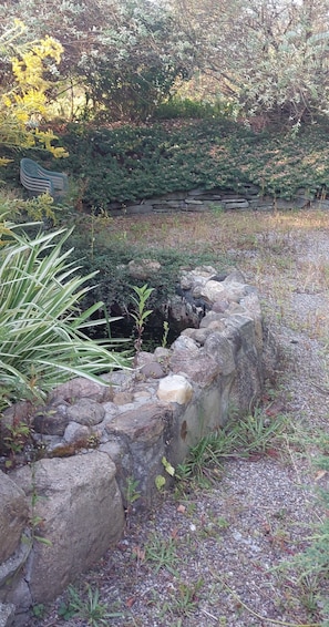 Un muro de piedra con vegetación, un pequeño elemento acuático y un banco de piedra.