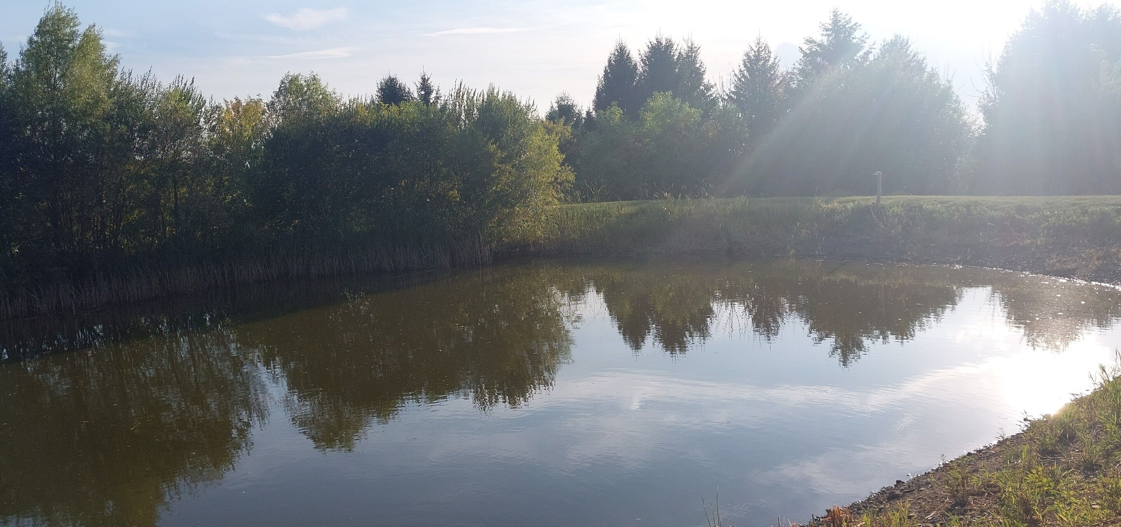 A calm body of water reflecting trees and a clear sky.