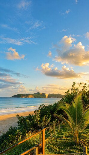 A beach with a wooden staircase leading down to the shore, surrounded by greenery and palm trees.