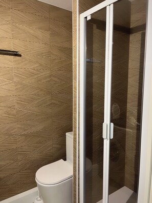 Ducha, secador de pelo, toallas, papel higiénico