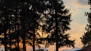 Une piscine avec vue sur les arbres et le coucher de soleil.