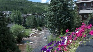 Un fiume che scorre attraverso una valle con edifici e alberi.