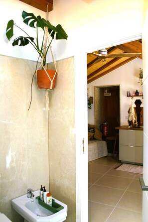 A bathroom with a sink, a hanging plant, and a door leading to a living area.