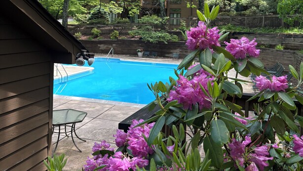 En swimmingpool omgiven av frodig grönska och en trähusliknande stuga.