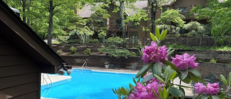 Una piscina rodeada de exuberante vegetación y una cabaña de madera.