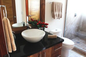 Shower, hair dryer, towels, toilet paper - Infinity Pool * CharmingCondo in Gringo Gulch (Puerto Vallarta)