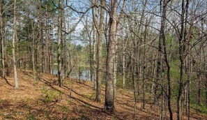 A forested area with trees and a body of water. - The Hill-Private Estate Near Atlanta-Huge Home, 2 Kitchens, Ideal for Gatherings (Suwanee)