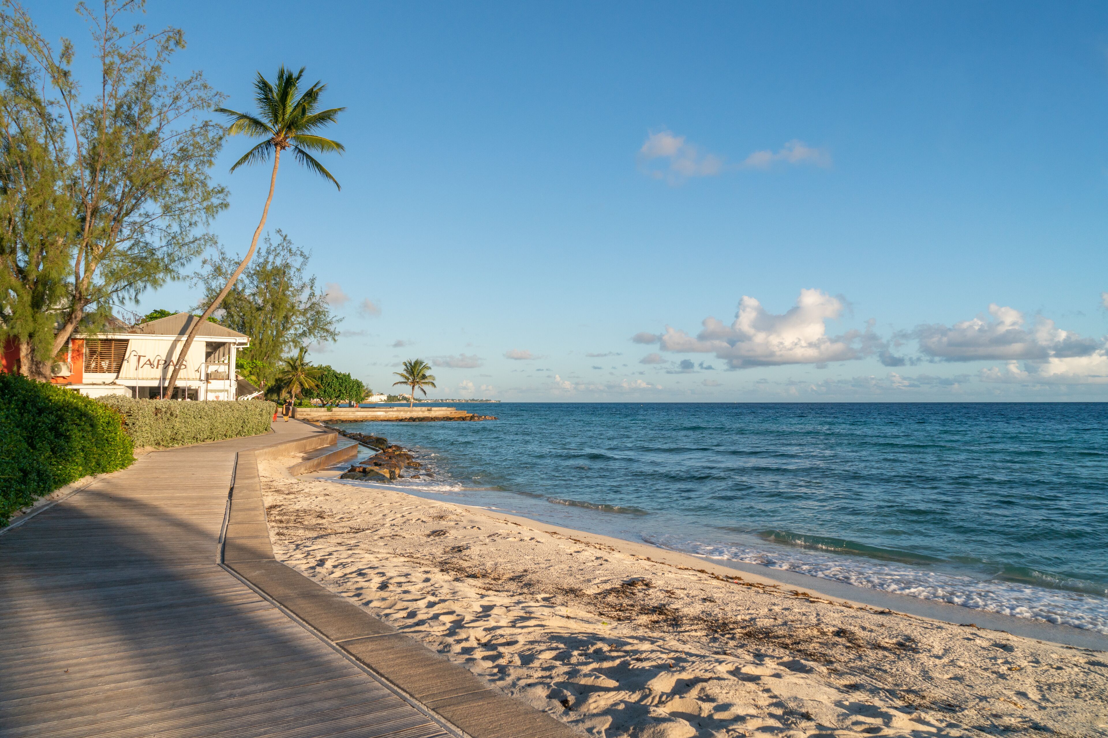 A beach with a wooden boardwalk, palm trees, and a house in the background.