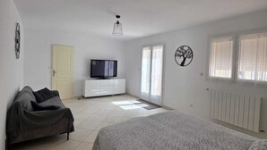 Une chambre à coucher avec un lit, un canapé, une télévision et un radiateur.