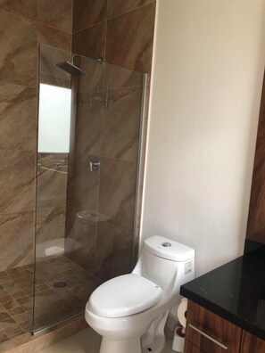Ducha, secador de pelo, toallas, jabón