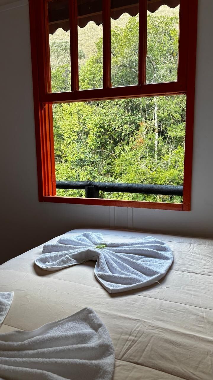 Una habitación con una cama, una ventana con vista a follaje y una toalla sobre la cama.