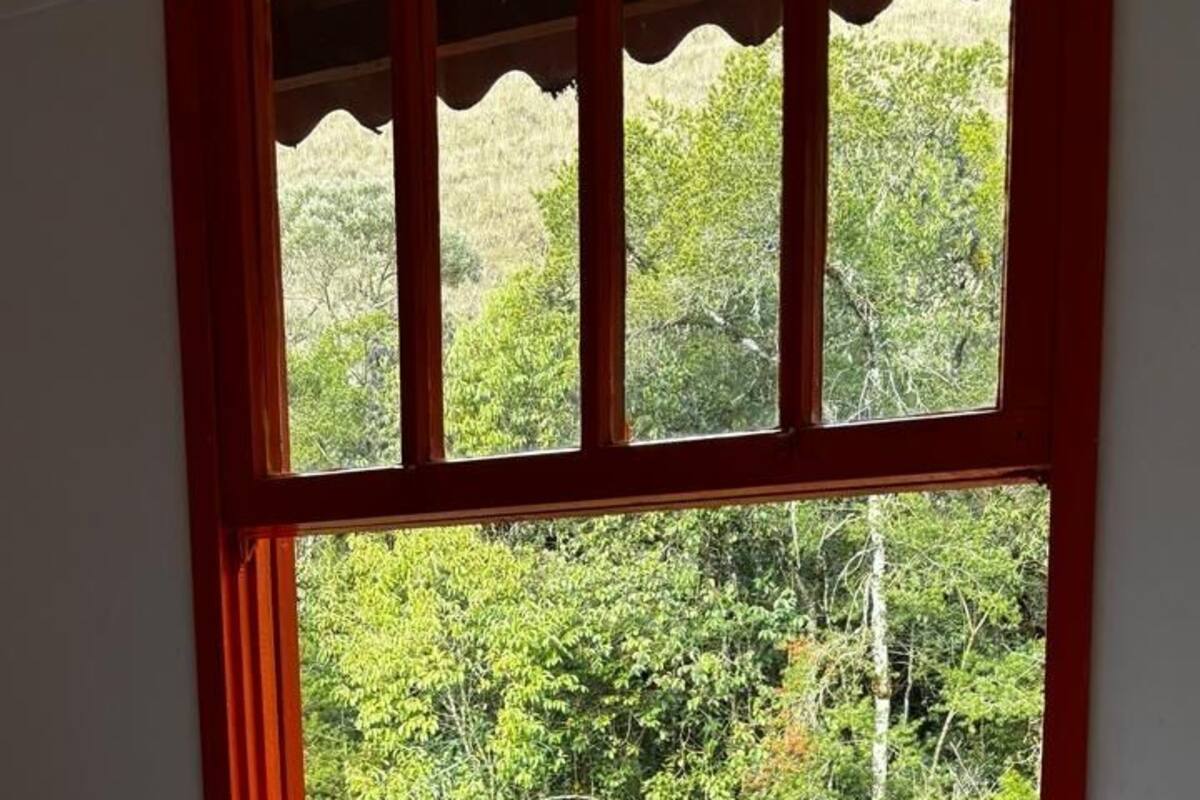 Una habitación con una cama, una ventana con vista a follaje y una toalla sobre la cama.