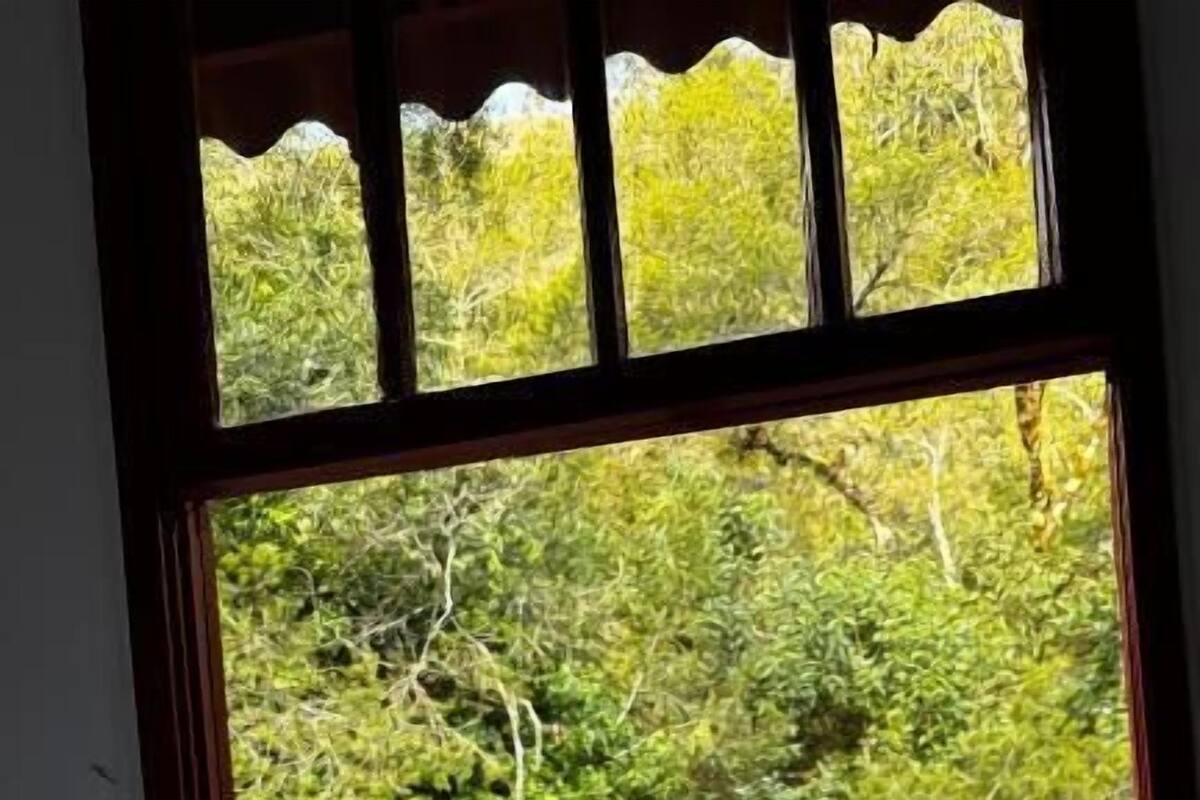 Una cama con manta blanca y toalla, una ventana con vistas a la vegetación y un cabecero de madera.