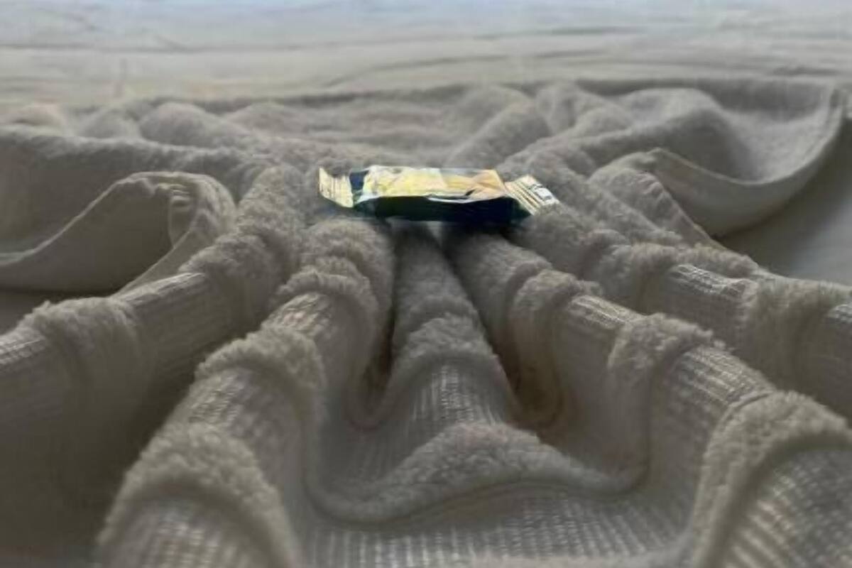 Una cama con edredón blanco y almohadas, una ventana con vistas a árboles, y un objeto pequeño sobre la cama.