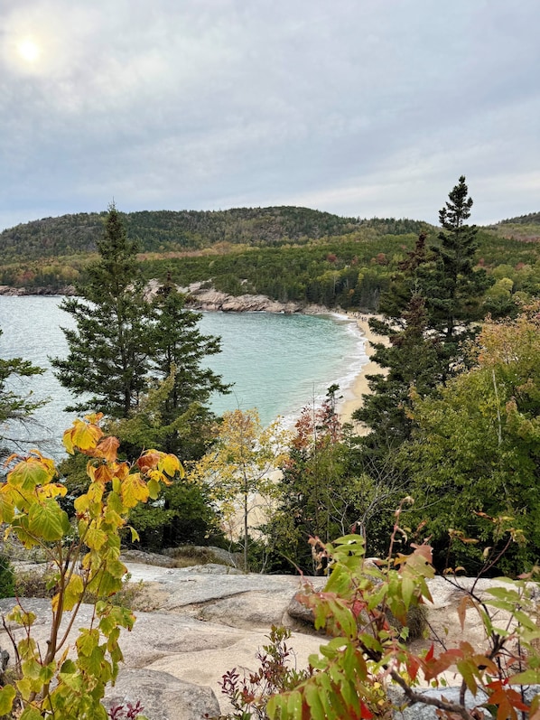 Un paysage côtier avec une plage, des arbres et une côte rocheuse.