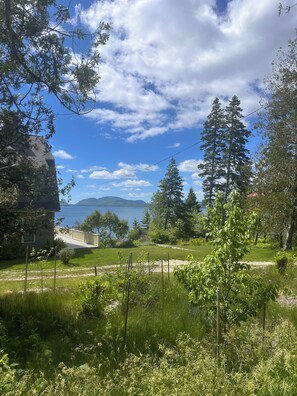 Une maison dotée d’une terrasse donnant sur un lac, entourée d’arbres et de verdure.