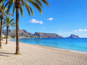 Ein Strand mit Kieselsteinen, Palmen und Bergen im Hintergrund.