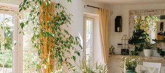 The Hamptons is a cosy & comfortable home for up to 14 people including children