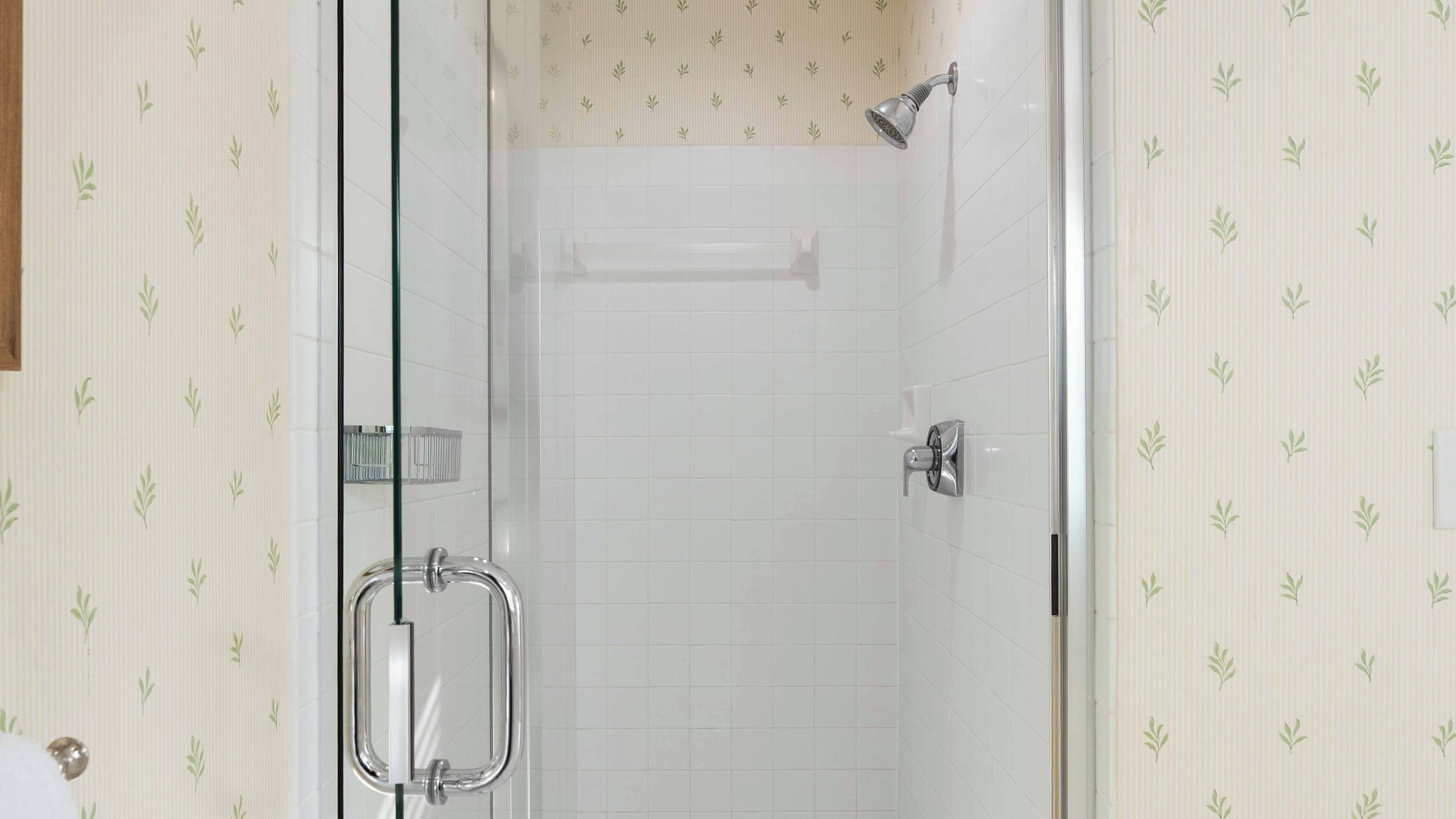A glass-enclosed shower with a handheld showerhead, a glass door with a handle, and a tiled wall with a leaf pattern.